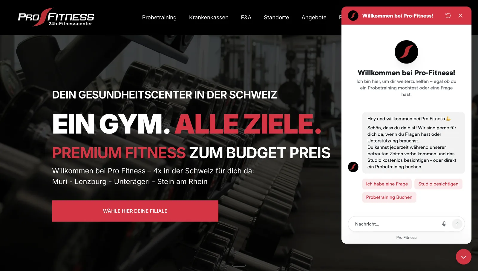 Pro Fitness — Projekt von DomAI